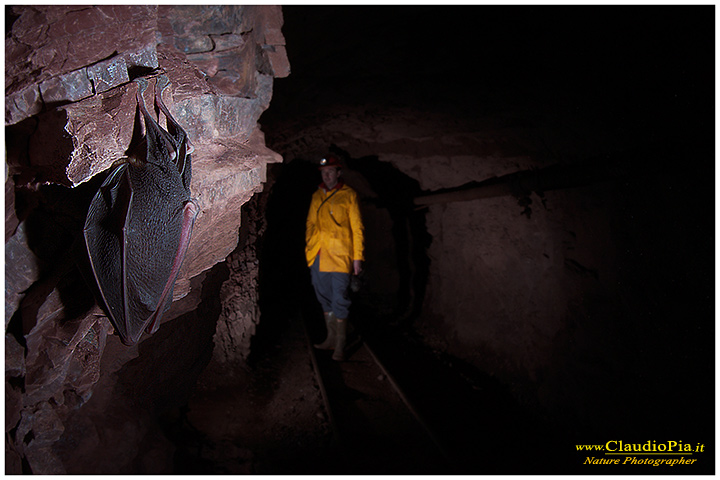 miniera, grotte, Esplorando vecchie miniere abbandonate, Val Graveglia, mines, caves, grotta, mine, cave